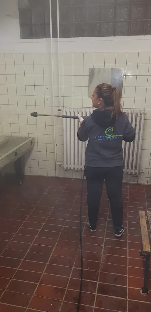 Hochdruckreinigung eines Sanitärraums
